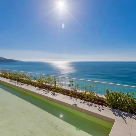 Royal Promenade Pool Terrace With Sea View Lejlighed Nice